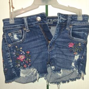 American Eagle Outfitters Blue Distressed Jean Shorts with Floral Embroidery